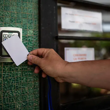 Cefalux - Collection *