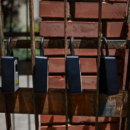 Cefalux - Collection チェファル