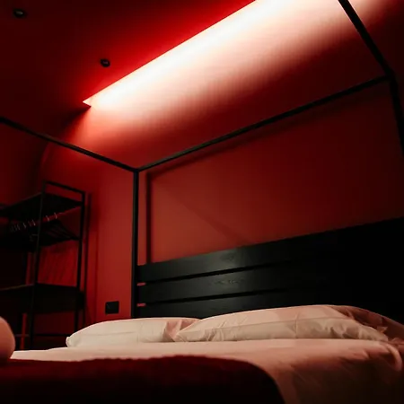 Cefalux - Collection *