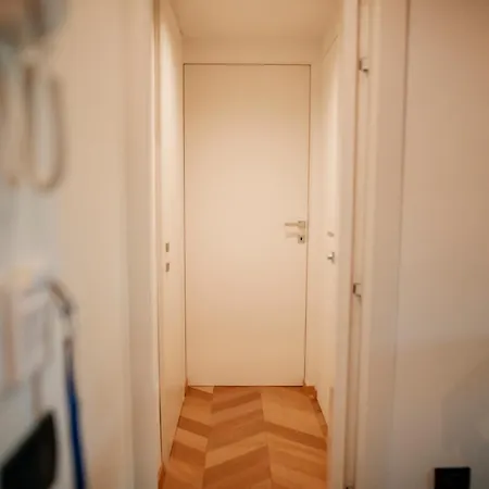 Cefalux - Collection *