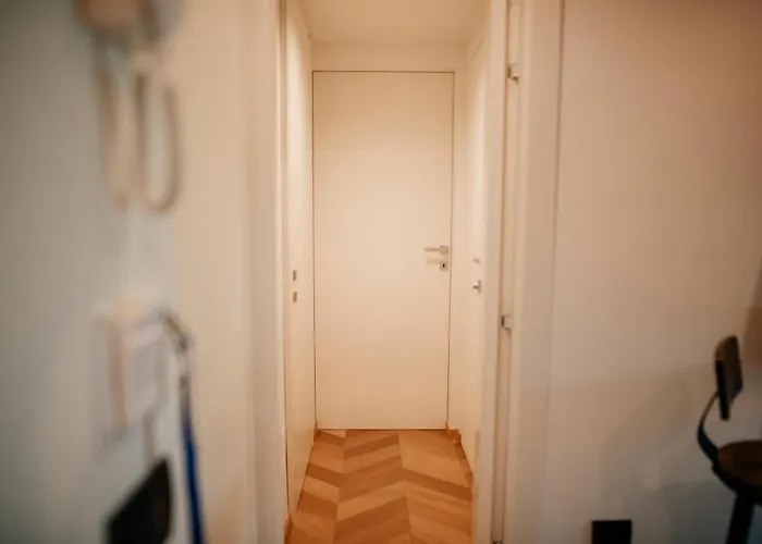 Cefalux - Collection *