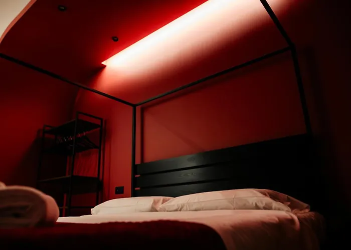 Cefalux - Collection *